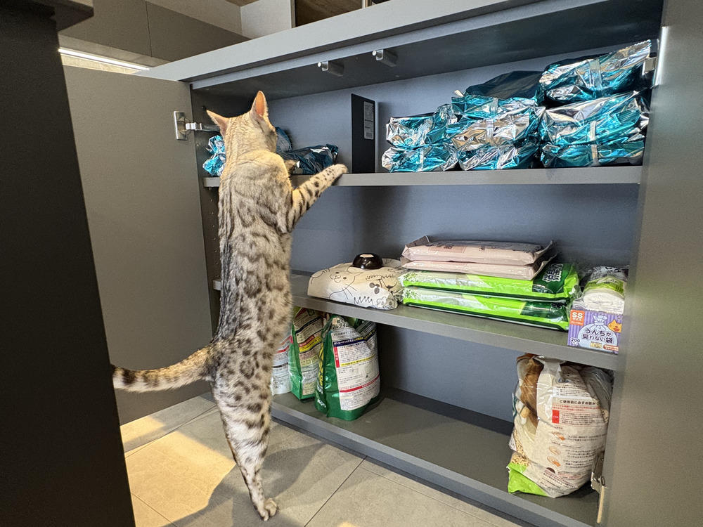 グラフテクトの前面収納